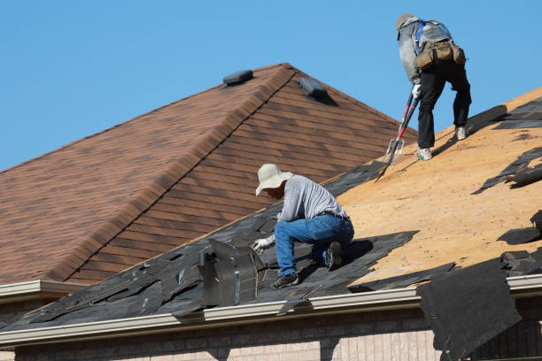 Best Roof Moss and Algae Removal  in Piedmont, SD
